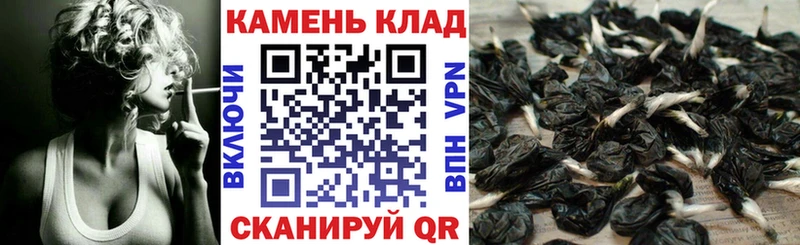 где можно купить   Зеленогорск  ГАШИШ Изолятор 