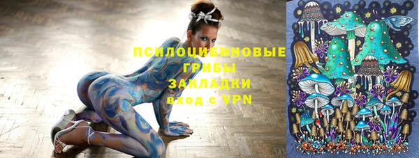 стафф Абинск