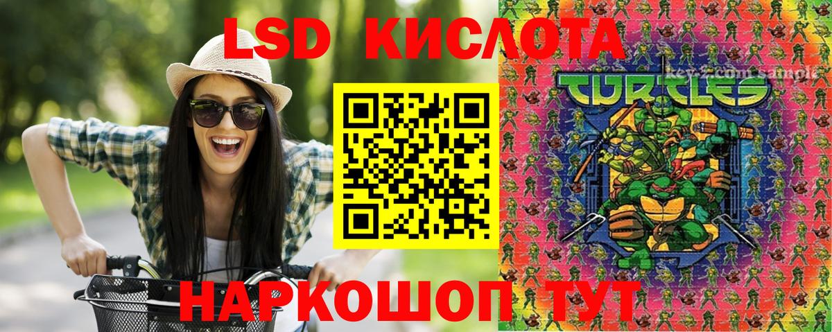 где можно купить наркотик  Вход с VPN  Зеленогорск  Наркотические марки 1500мкг 