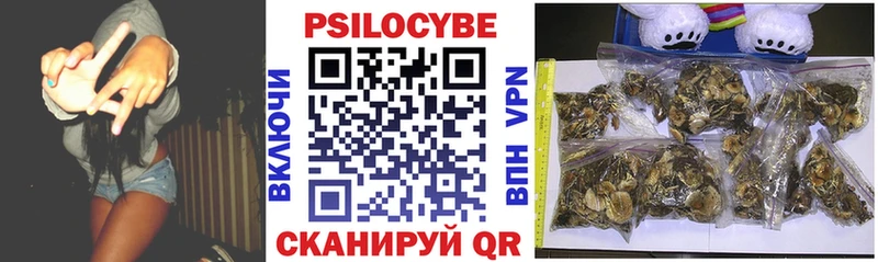 Псилоцибиновые грибы мицелий  Зеленогорск 