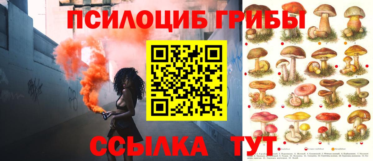 Зеленогорск  Галлюциногенные грибы ЛСД  Вход с VPN  Псилоцибиновые грибы Psilocybe 