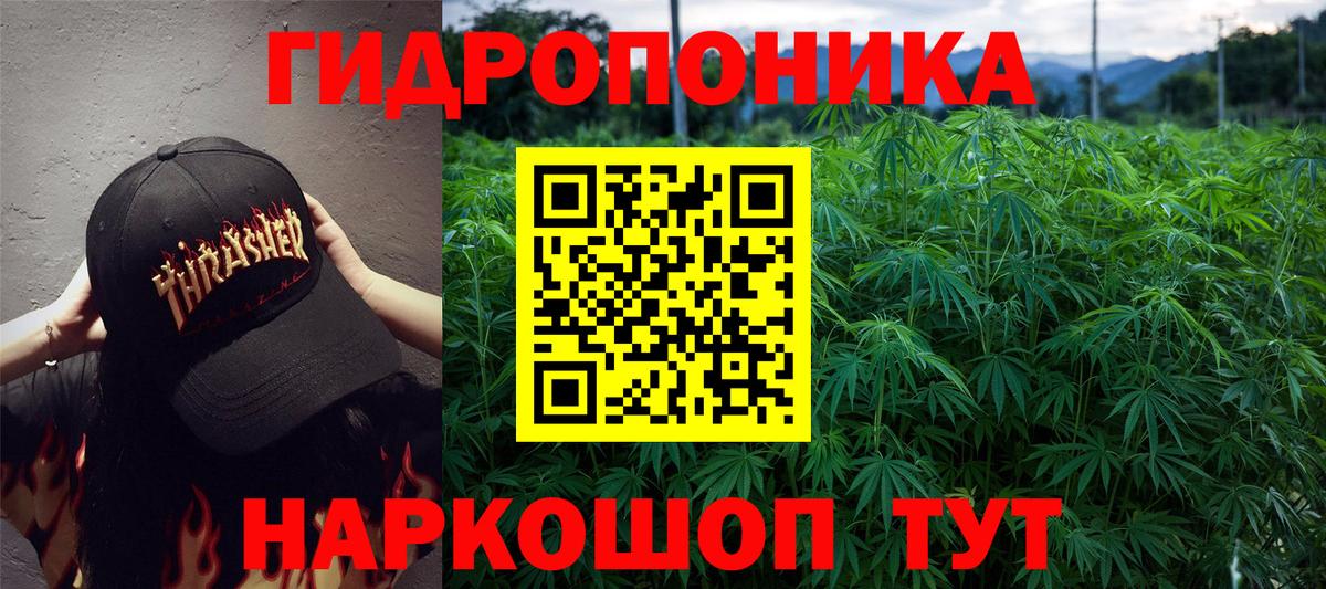 Марихуана индика  МАРИХУАНА AK-47  МАРИХУАНА индика  Вход с VPN  МАРИХУАНА Bruce Banner  Зеленогорск 